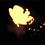 Samuel_Gao